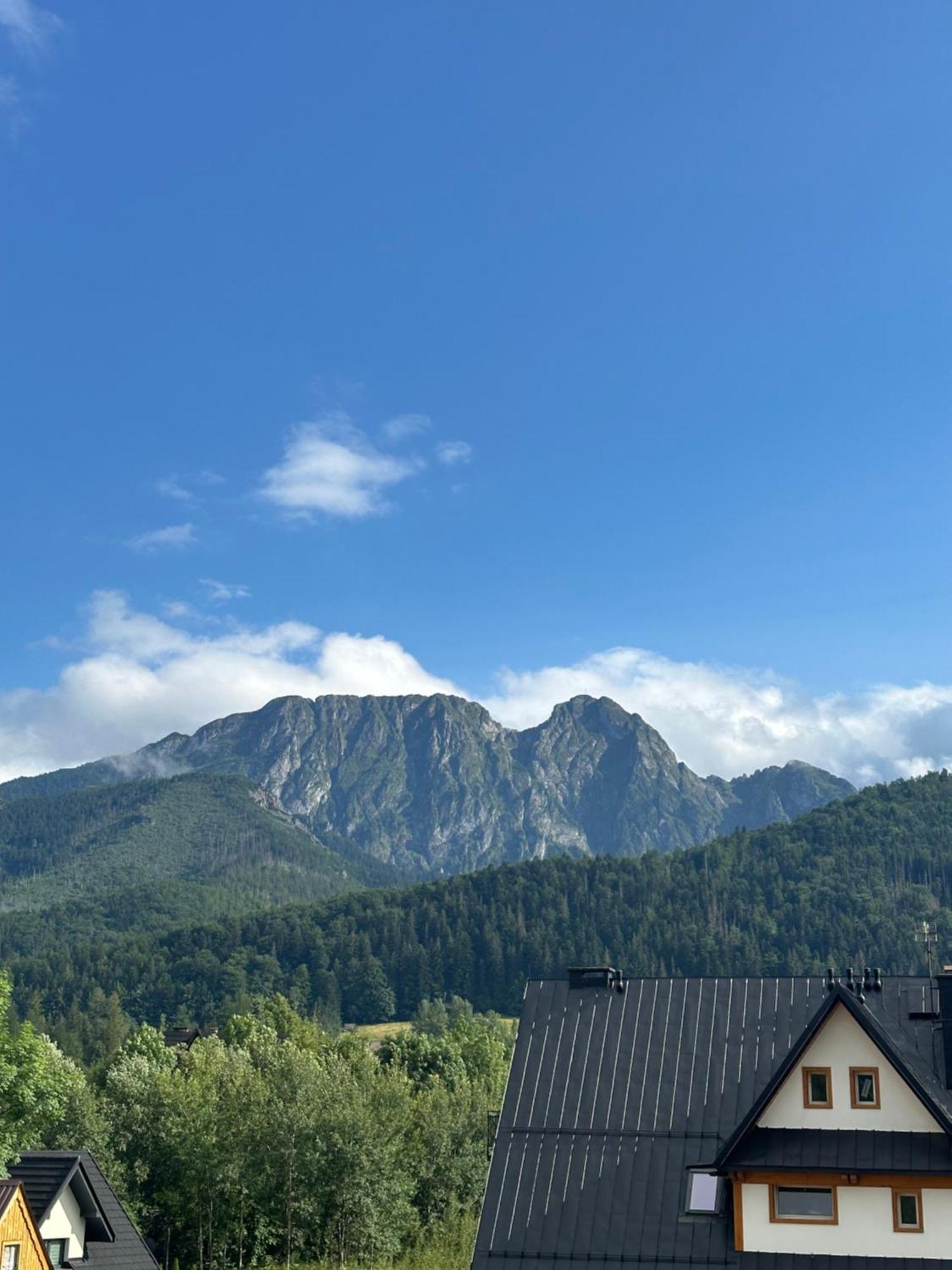 Willa Szafran Zakopane Exteriér fotografie