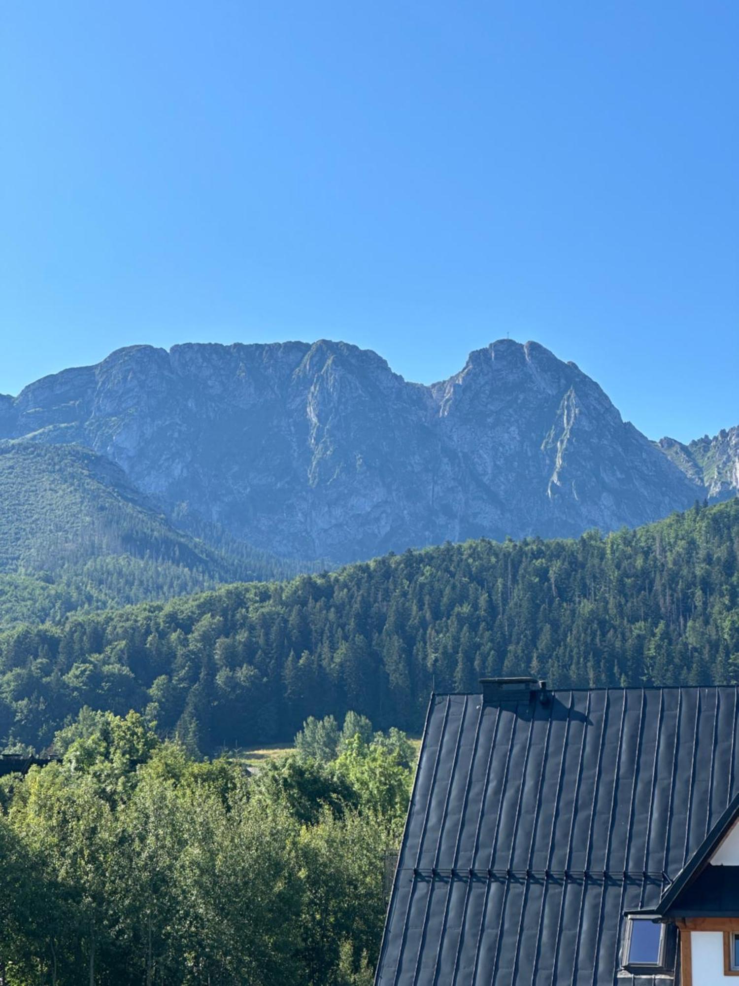 Willa Szafran Zakopane Exteriér fotografie